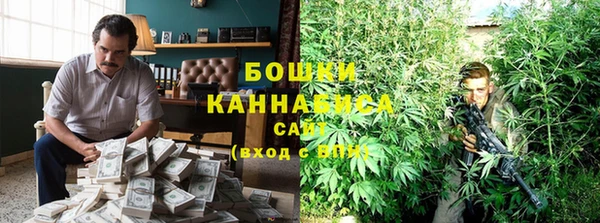 прущие грибы Алексин