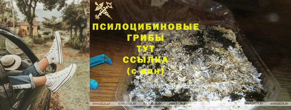 spice Алзамай