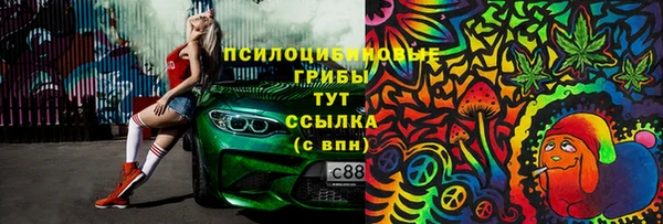 прущие грибы Алексин