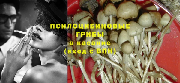 прущие грибы Алексин