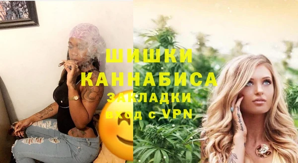 ГАЛЛЮЦИНОГЕННЫЕ ГРИБЫ Болхов