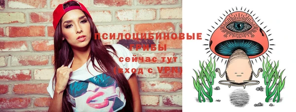 spice Алзамай
